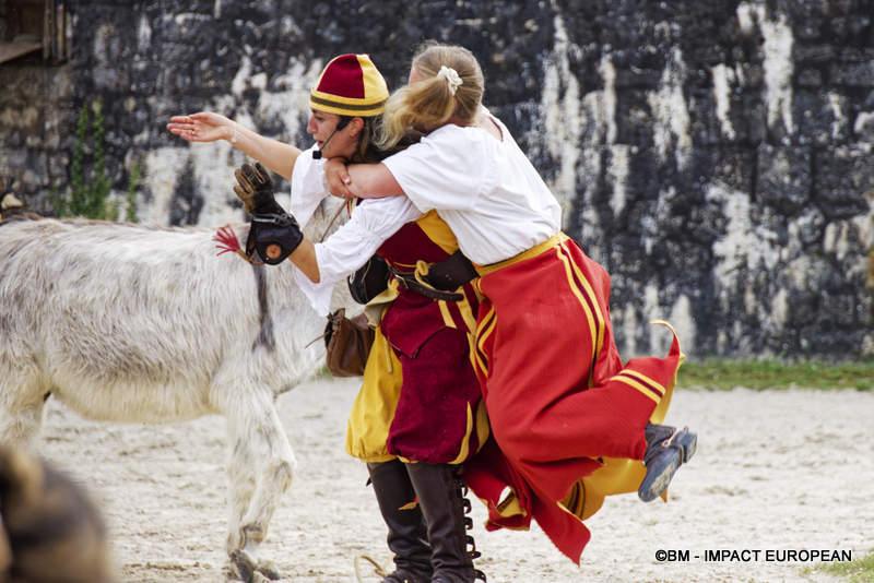 Les Medievales de Provins 061