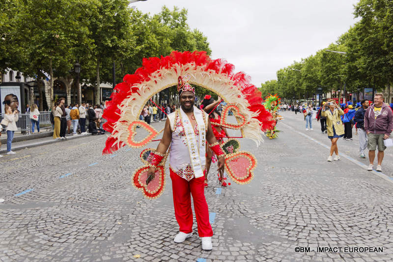 Carnaval Tropical 066