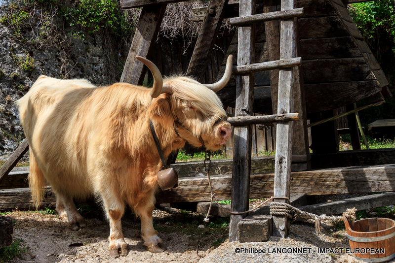 Photographie de Philippe Langonnet