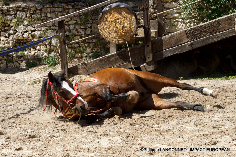 Photographie de Philippe Langonnet