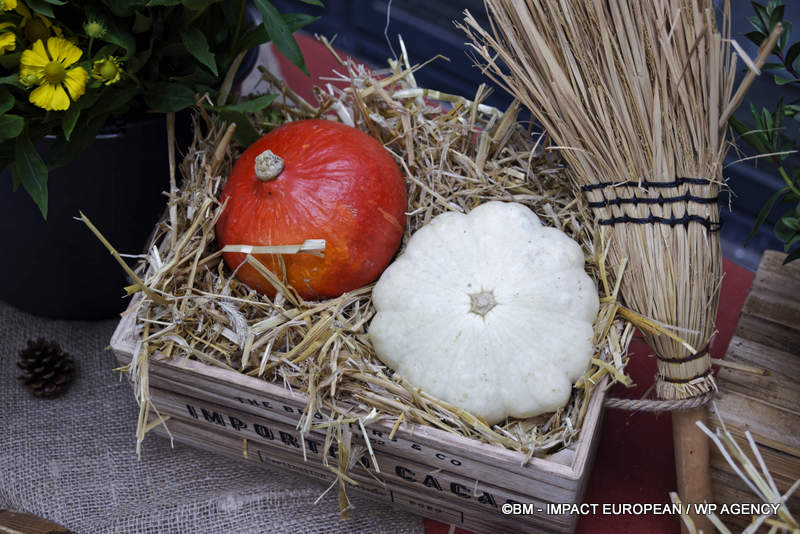 Salon de la photo 2025 016