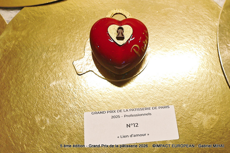 IMG_8477Pro n°12 lien d'amour