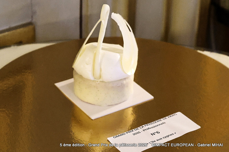 IMG_8487Pro n°06 L'ile aux cygnes