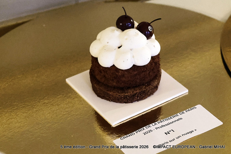 IMG_8488Pro n°01 Paris sur nuage