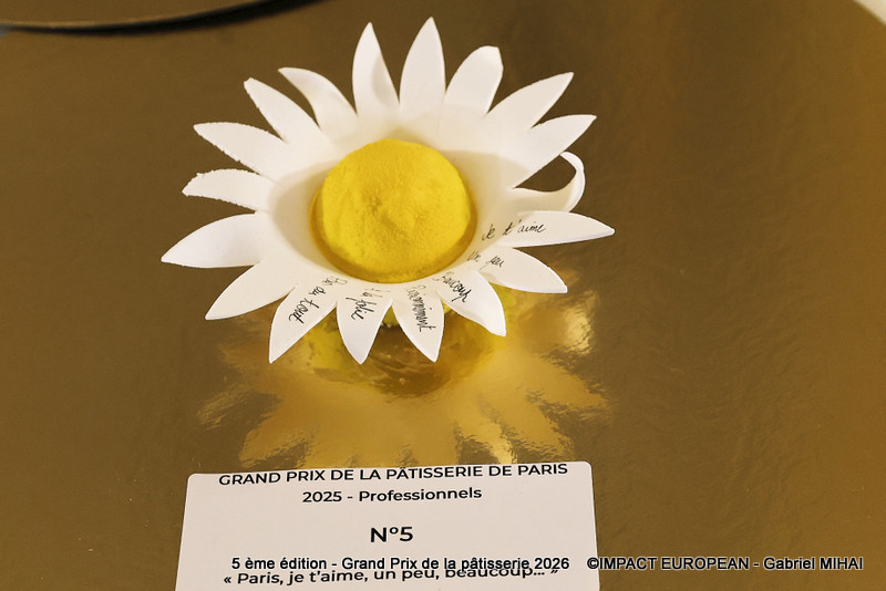 IMG_8660Pro n°05 Paris je t'aime