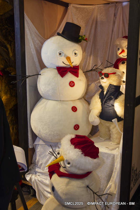 Salon des maires 2025 00006