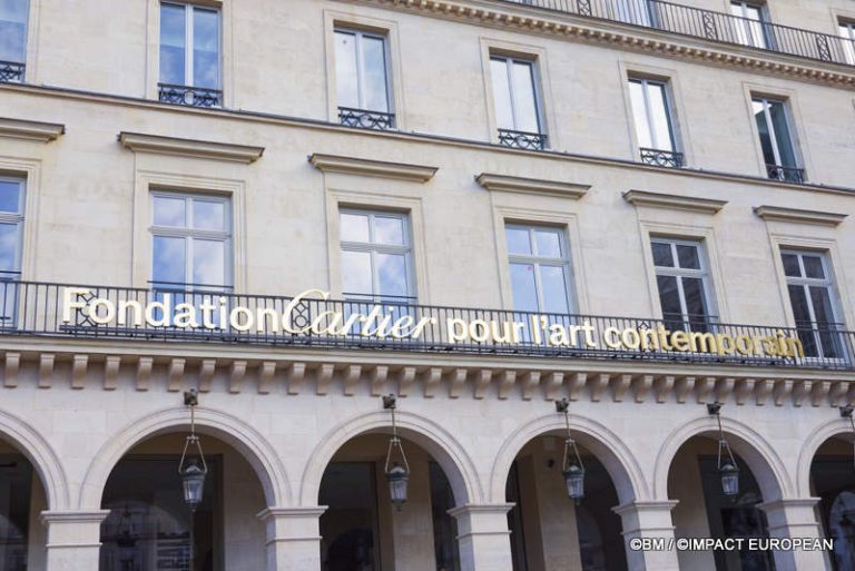 Exposition Générale Fondation Cartier Paris, art contemporain
