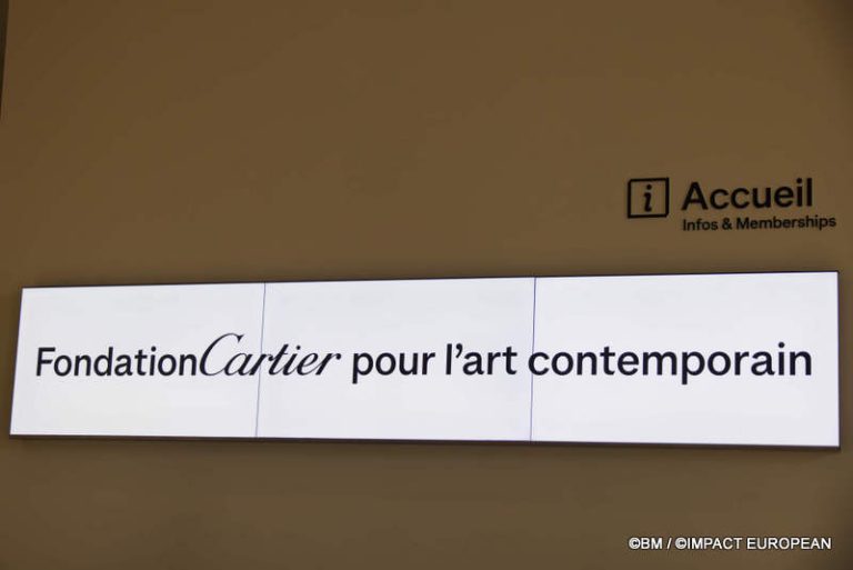 Exposition Générale Fondation Cartier Paris, art contemporain