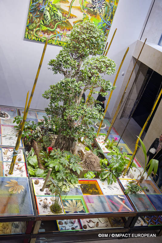 Exposition Générale Fondation Cartier Paris, art contemporain