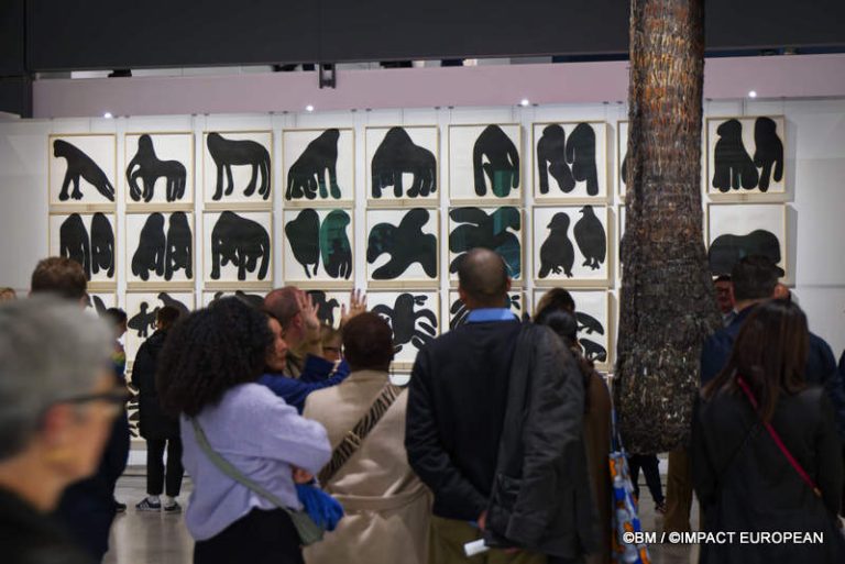 Exposition Générale Fondation Cartier Paris, art contemporain