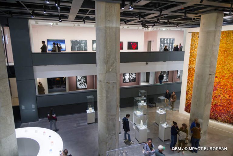 Exposition Générale Fondation Cartier Paris, art contemporain