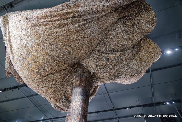 Exposition Générale Fondation Cartier Paris, art contemporain