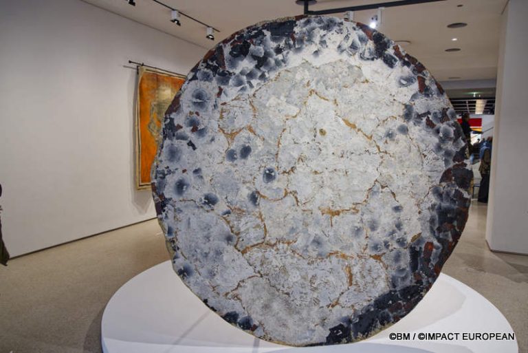 Exposition Générale Fondation Cartier Paris, art contemporain