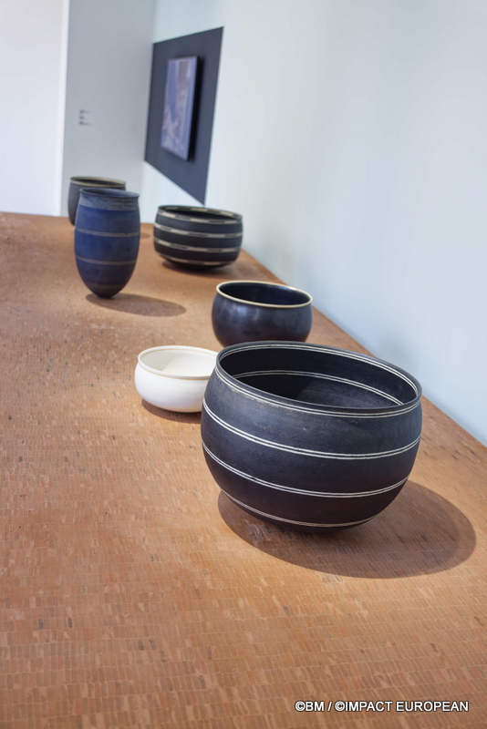 Exposition Générale Fondation Cartier Paris, art contemporain