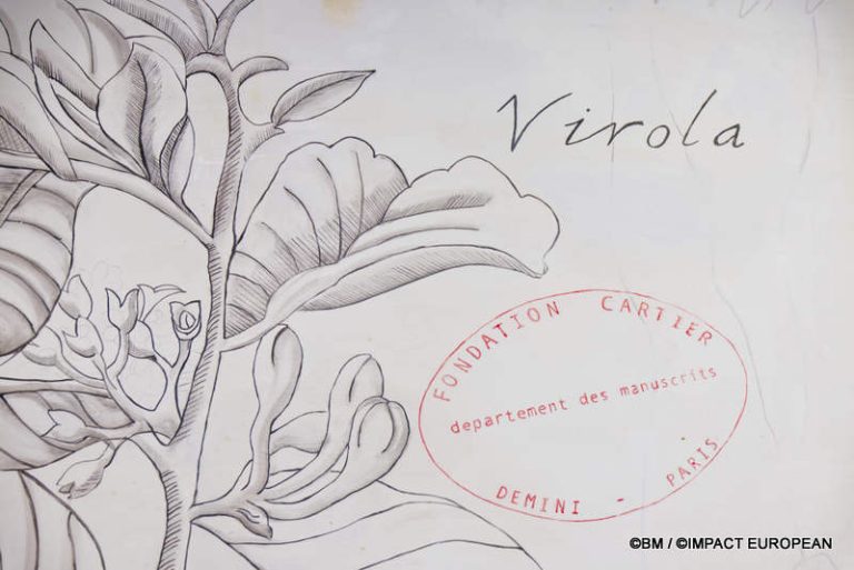 Exposition Générale Fondation Cartier Paris, art contemporain