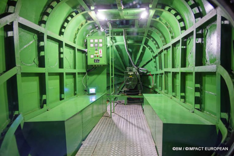 Exposition Générale Fondation Cartier Paris, art contemporain