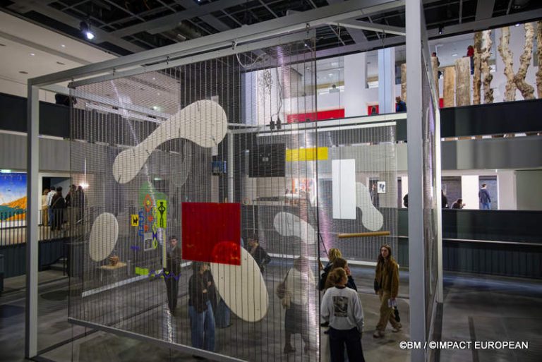 Exposition Générale Fondation Cartier Paris, art contemporain