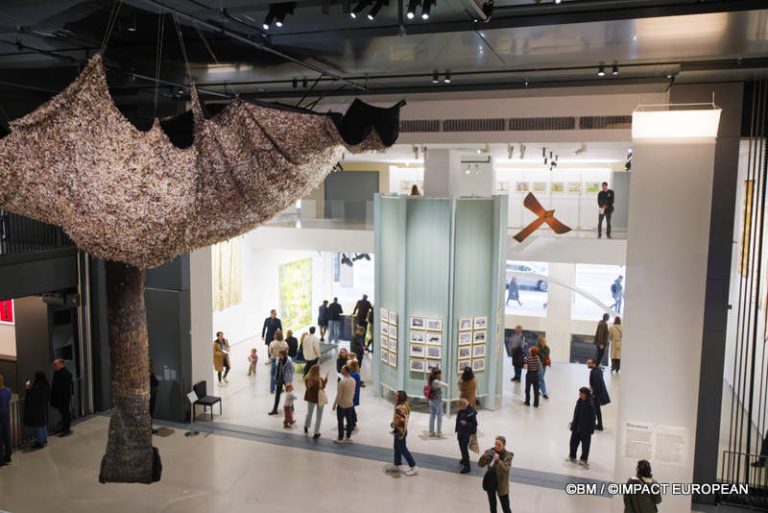 Exposition Générale Fondation Cartier Paris, art contemporain