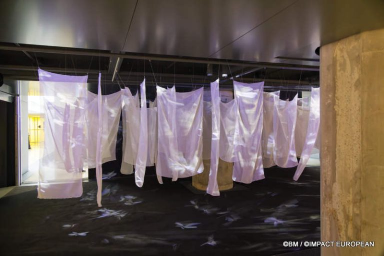 Exposition Générale Fondation Cartier Paris, art contemporain