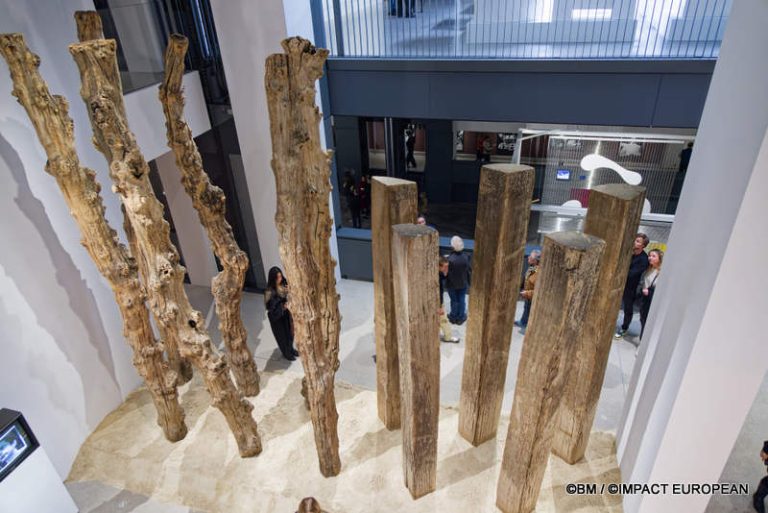 Exposition Générale Fondation Cartier Paris, art contemporain