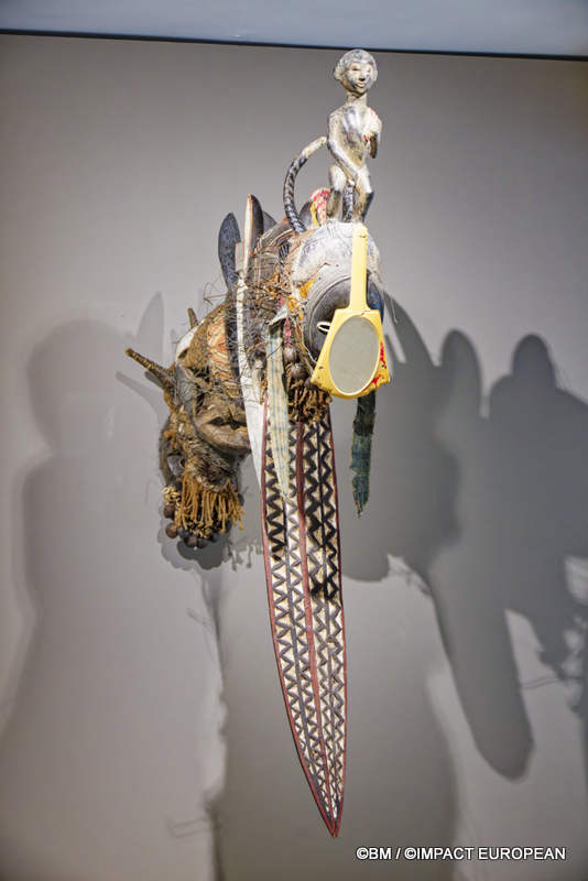 Exposition Générale Fondation Cartier Paris, art contemporain