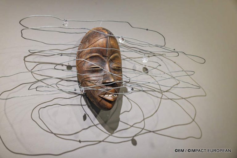 Exposition Générale Fondation Cartier Paris, art contemporain