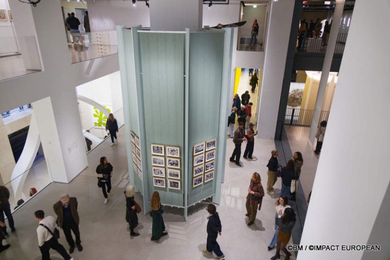 Exposition Générale Fondation Cartier Paris, art contemporain