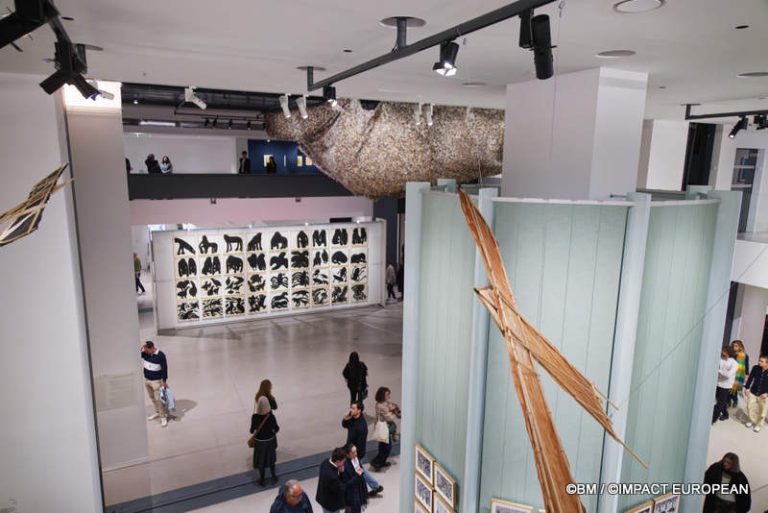 Exposition Générale Fondation Cartier Paris, art contemporain