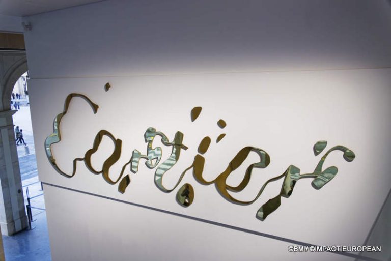 Exposition Générale Fondation Cartier Paris, art contemporain