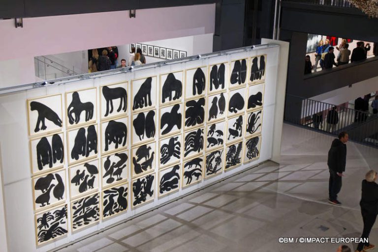 Exposition Générale Fondation Cartier Paris, art contemporain