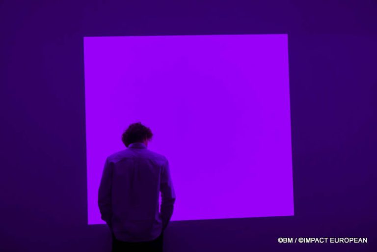 Exposition Générale Fondation Cartier Paris, art contemporain