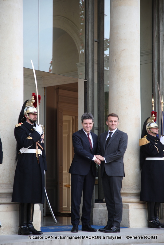 Nicusor DAN et Emmanuel MACRON