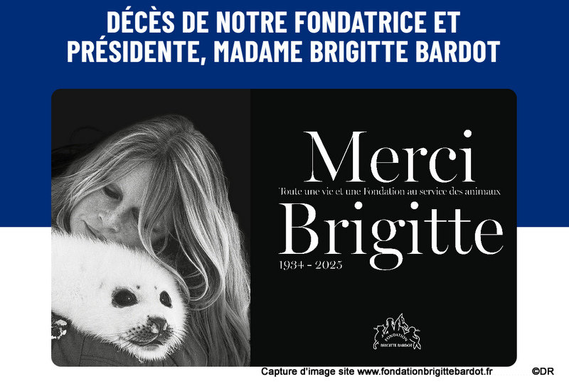 Brigitte Bardot s’est éteinte