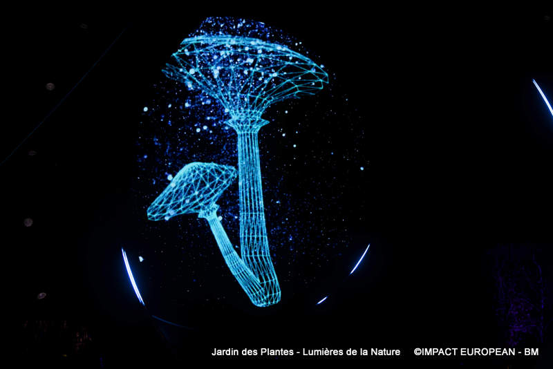 Jardin des plantes 00001