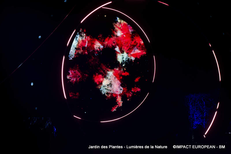 Jardin des plantes 00002