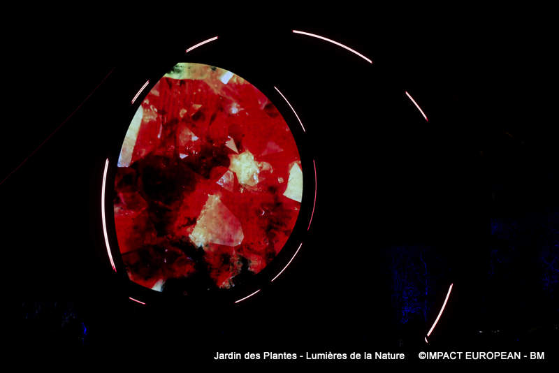 Jardin des plantes 00003