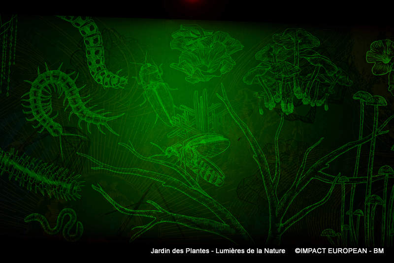 Jardin des plantes 00006