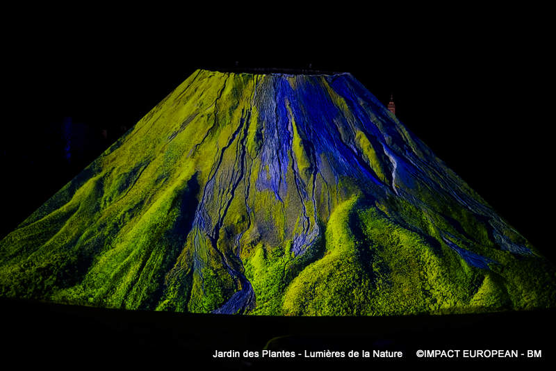 Jardin des plantes 00010