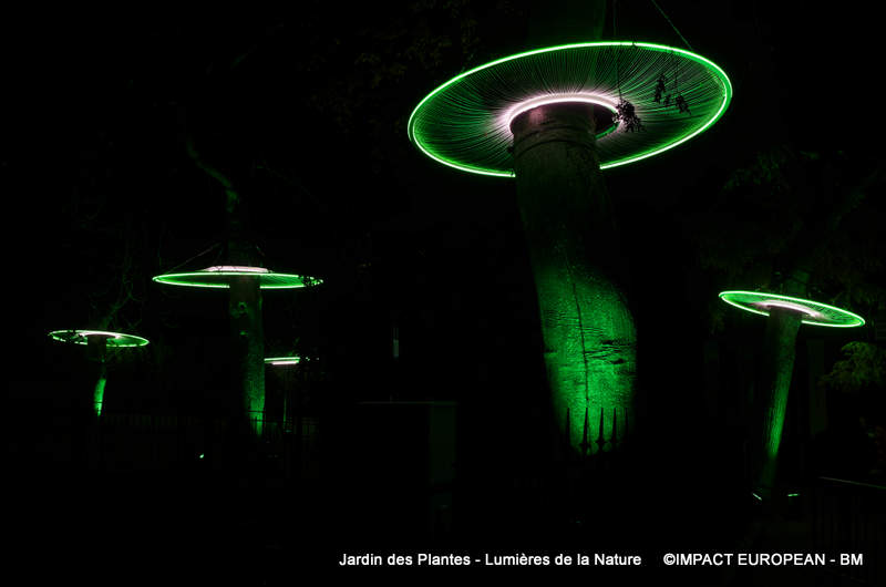 Jardin des plantes 00014