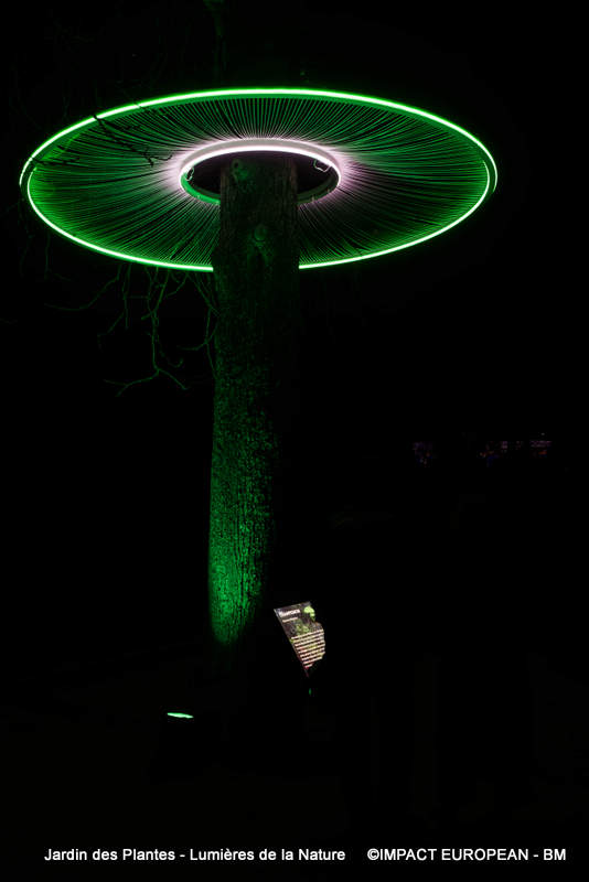 Jardin des plantes 00017