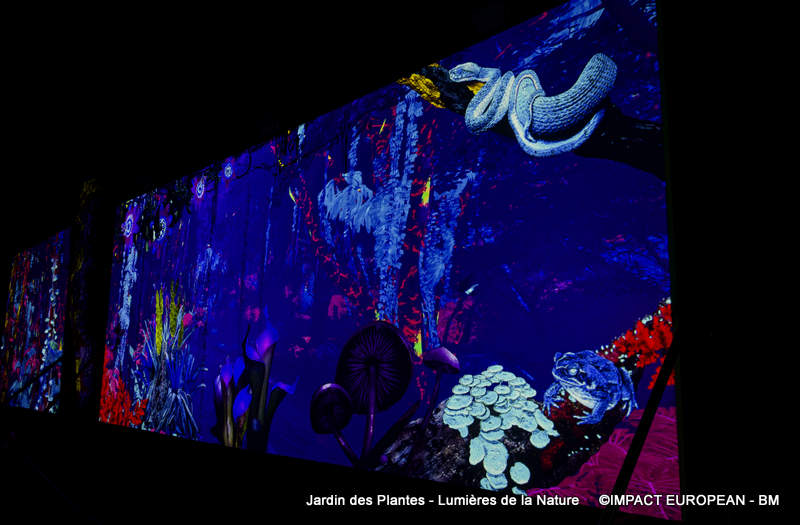 Jardin des plantes 00019