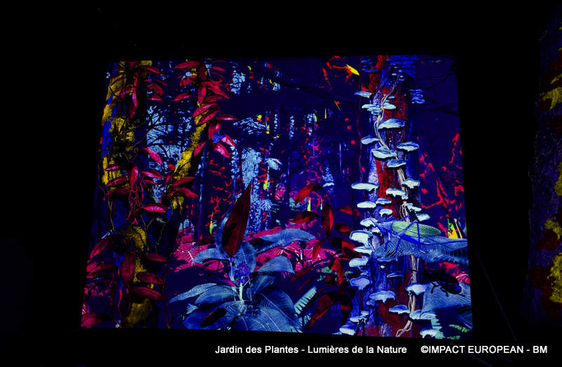 Jardin des plantes 00022