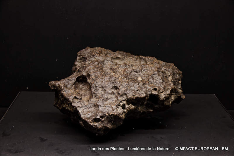 Jardin des plantes 00034