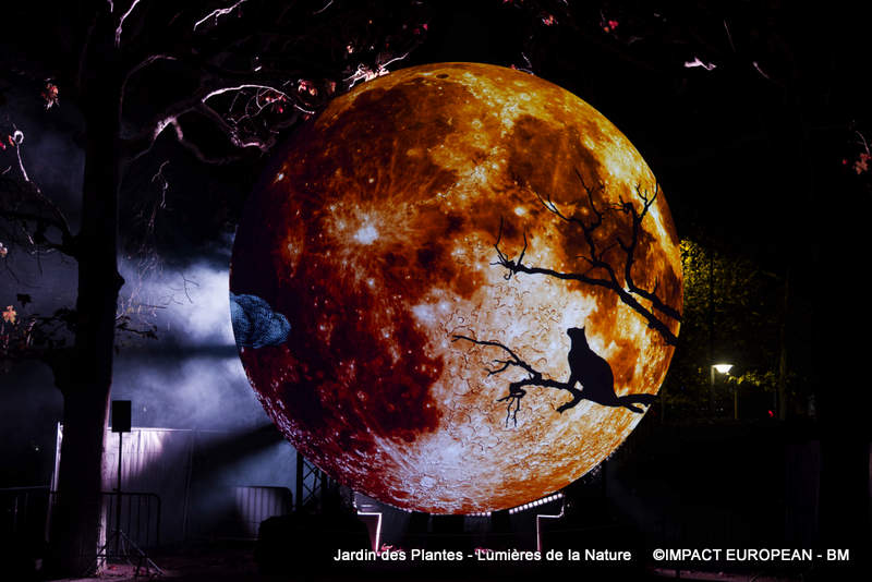 Jardin des plantes 00045