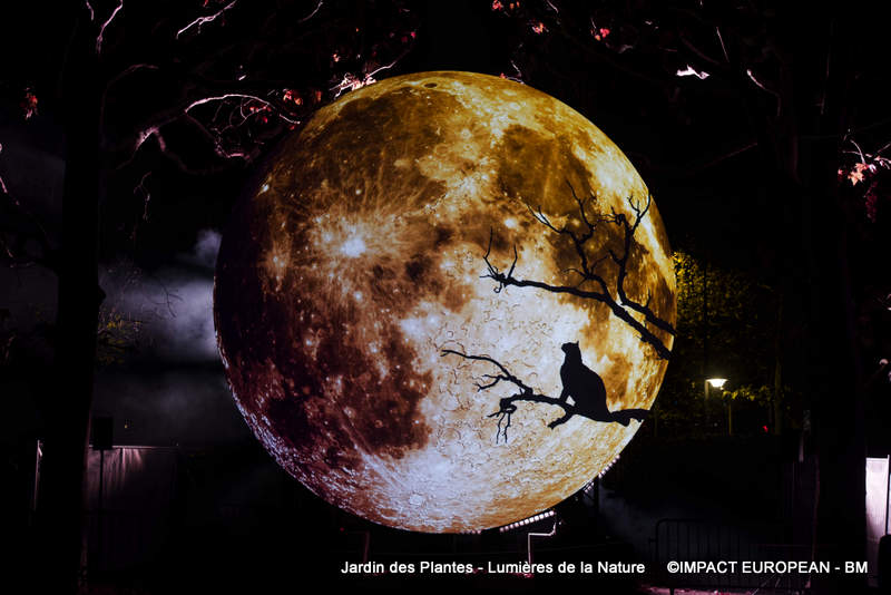 Jardin des plantes 00046