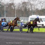 Noël à l'hippodrome – mini-chevaux et Père Noël
