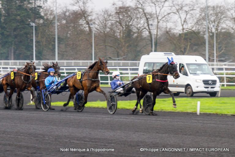 Noël à l'hippodrome – mini-chevaux et Père Noël