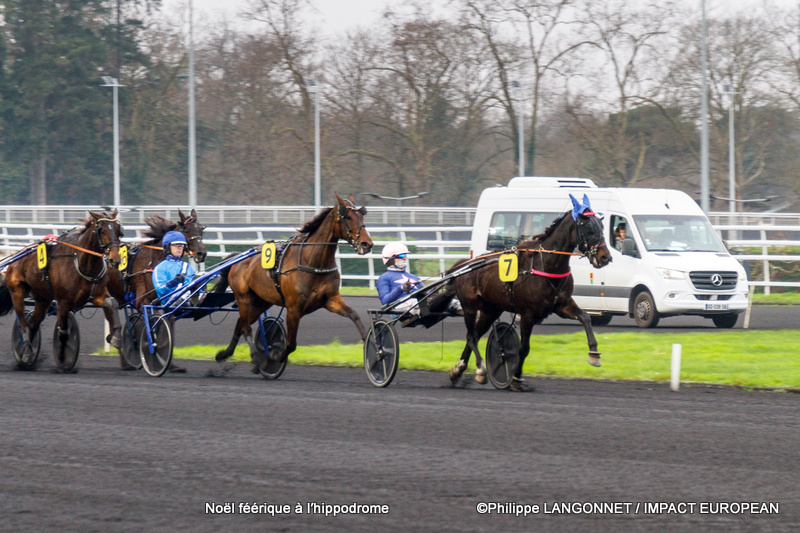 Noël à l'hippodrome – mini-chevaux et Père Noël