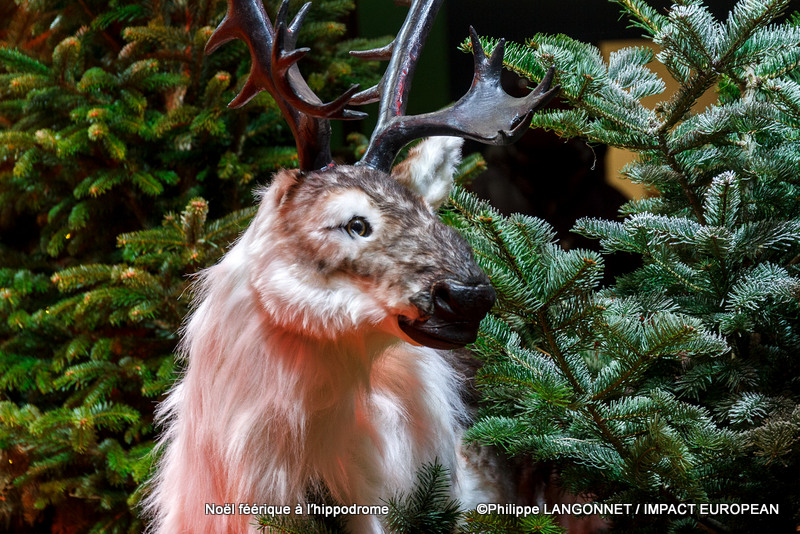 Noël à Vincennes n'oublie pas son ADN hippique