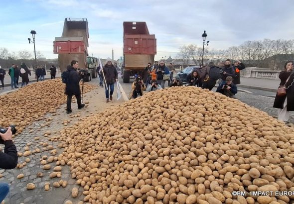 Colère agricole : pommes de terre déversées à Paris